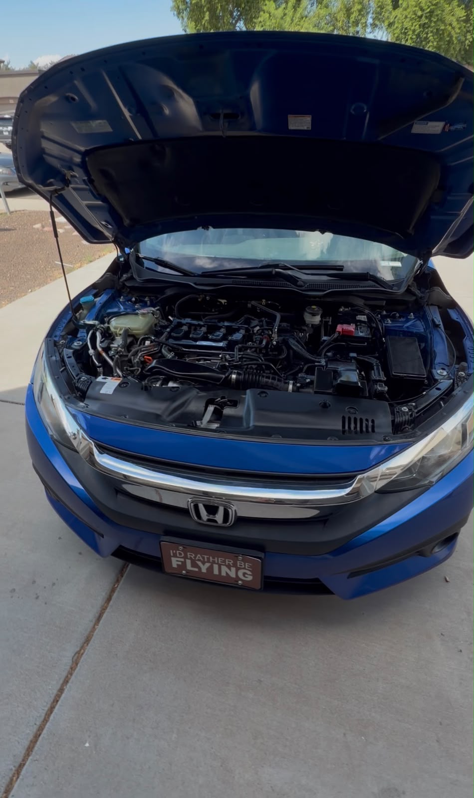 Engine bay after professional detailing